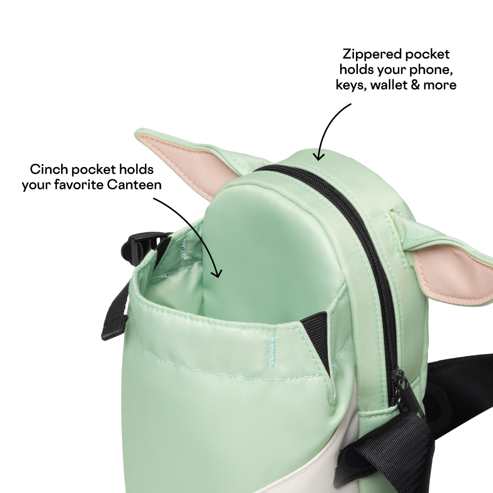 disney-sling-r4 53593b3e49e2--Sling-PDP-4.png